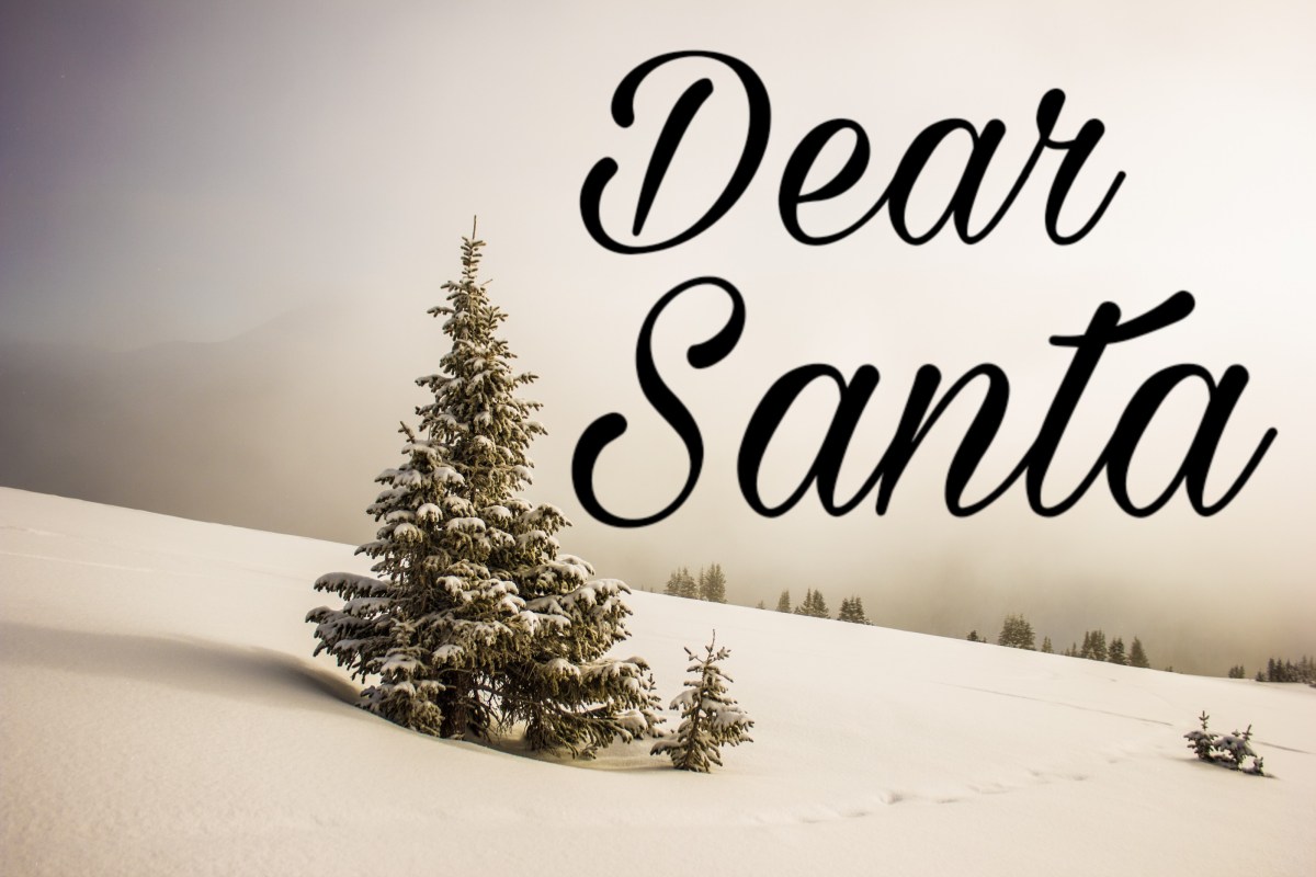Dear Santa…