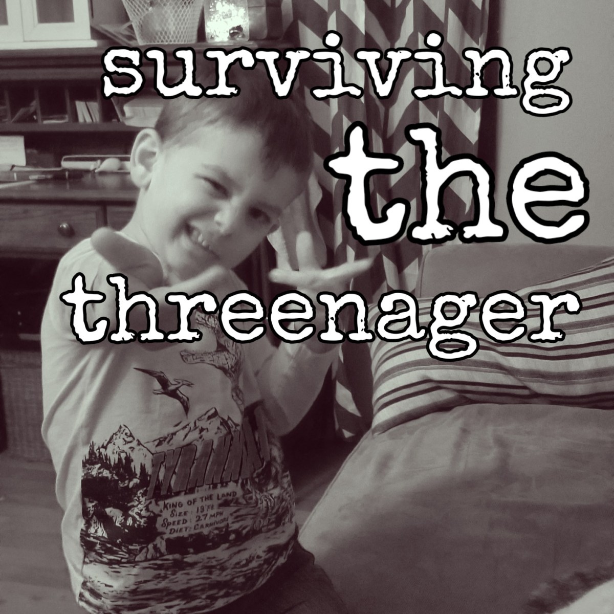 Surviving the Threenager